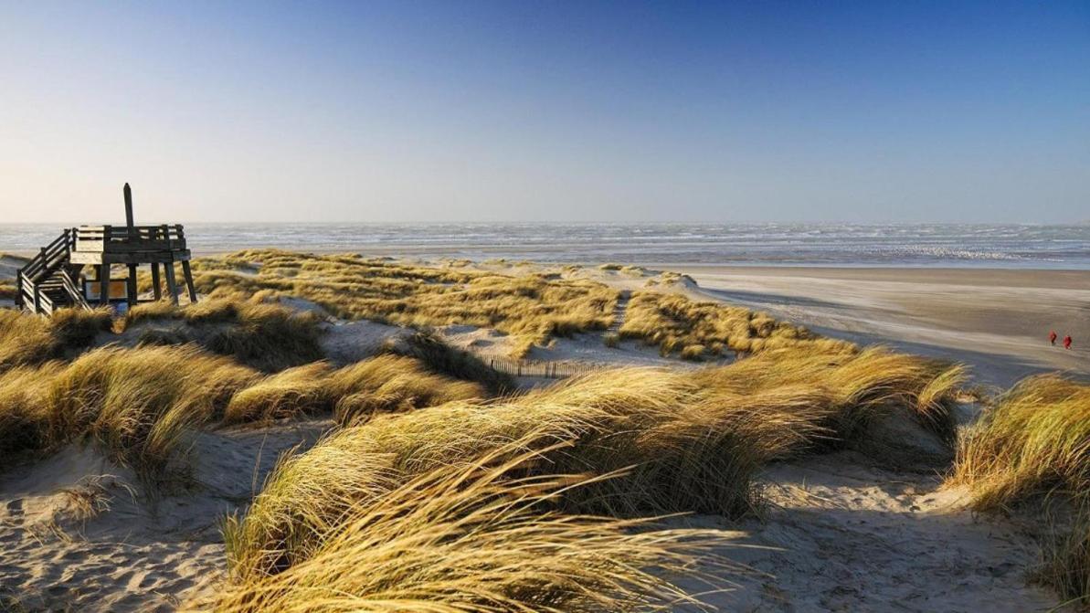 Historic "Touquettoise" Villa, Located In Heart Of The Village, 100M From The Beach, With Sunny Terrace And Private Garden Le Touquet Eksteriør billede